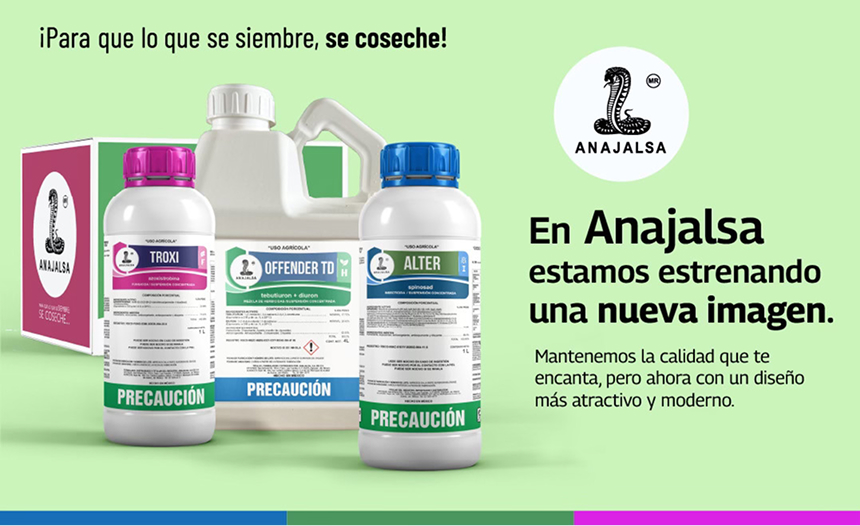 Anajalsa nueva imagen