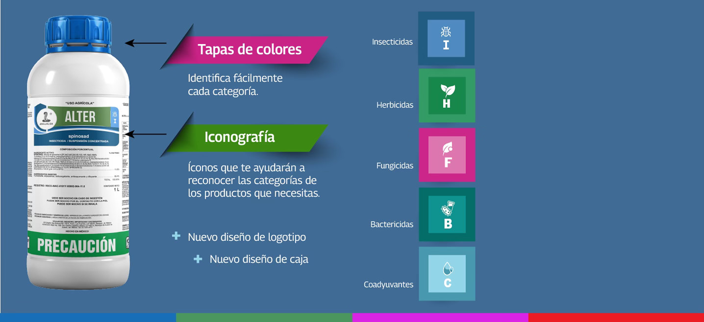 Anajalsa nueva imagen