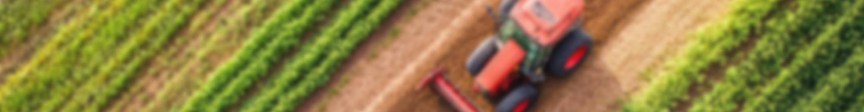 Diseño gráfico para agroindustria