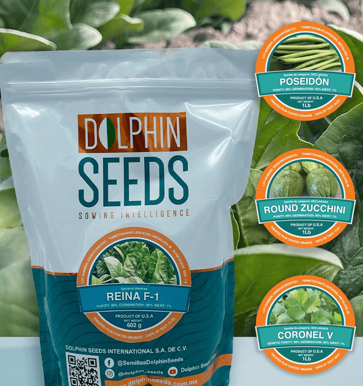 Diseño gráfico para Dolphin Seeds