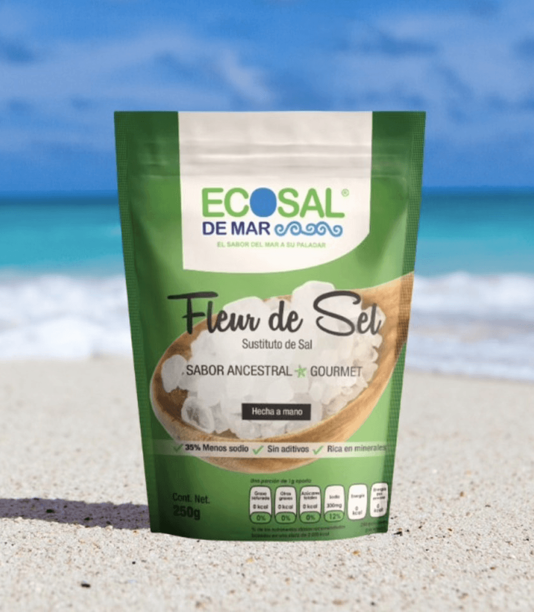 Diseño gráfico para Ecosal