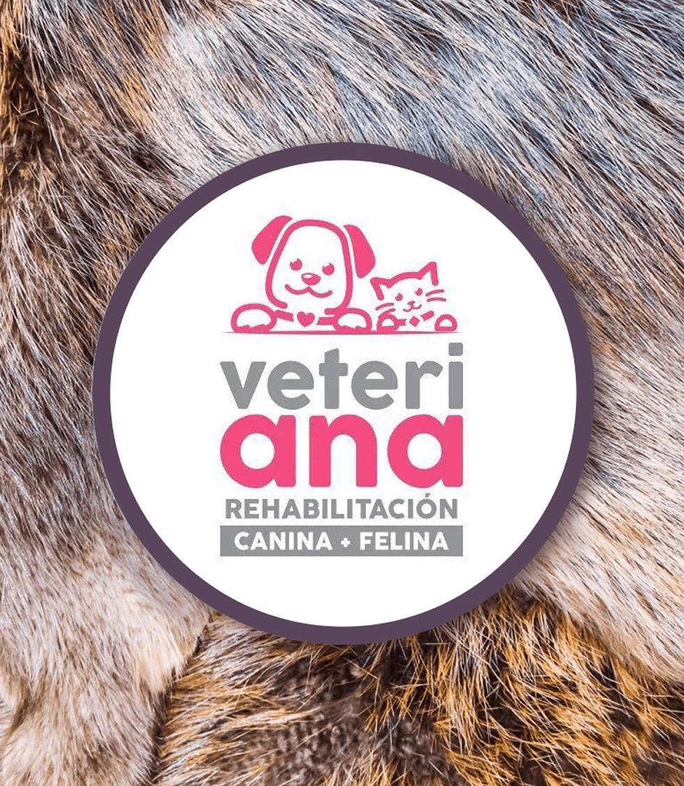 Diseño gráfico para Veteriana  